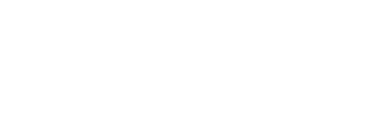 Logo APERAM