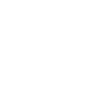 Logo PROKOSTAL